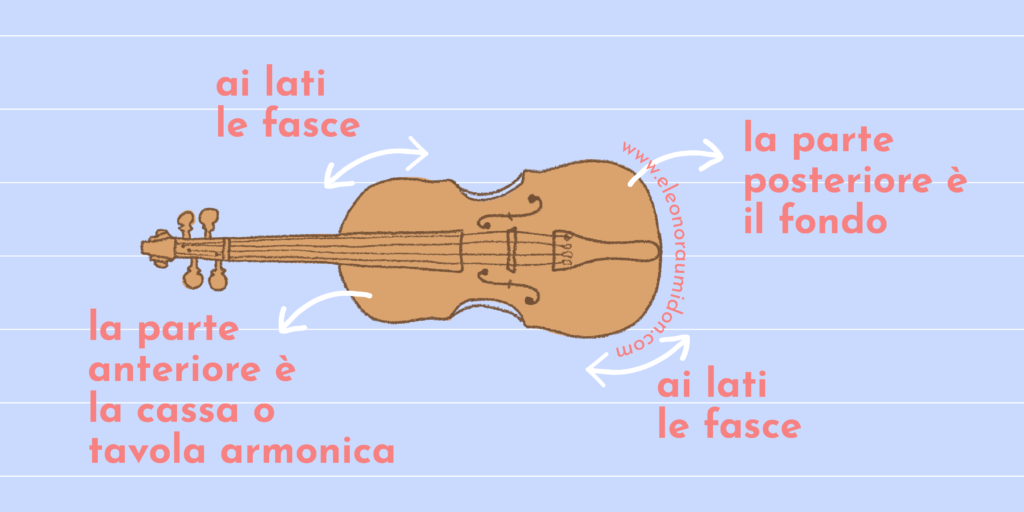 parti violino illustrazione www.eleonoraumidon.com