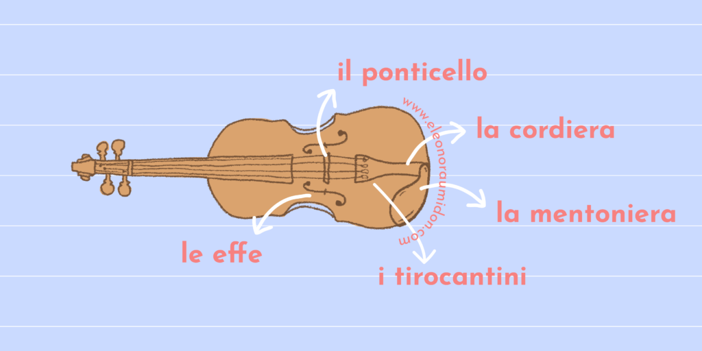 com'è fatto il violino illustrazione www.eleonoraumidon.com