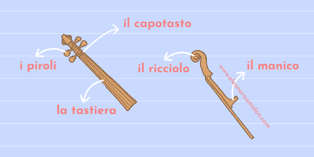 capotasto violino illustrazione www.eleonoraumidon.com